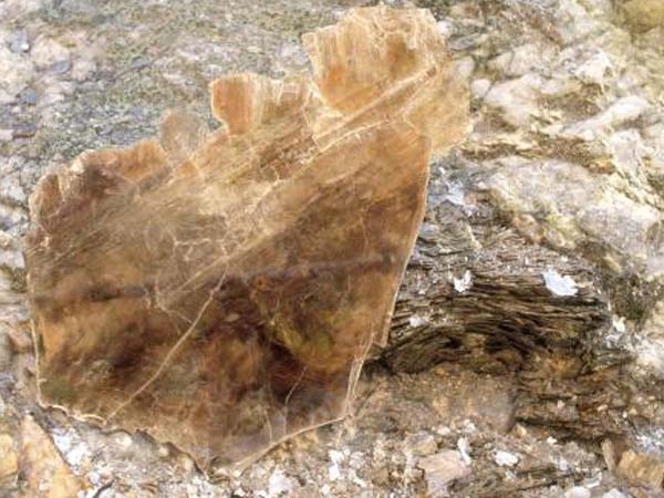 云母含鐵愈高時(shí),顏色愈深,同時(shí)多色性和吸收性增強(qiáng)